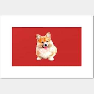 Corgi - The Christmas Corgi Special! Posters and Art